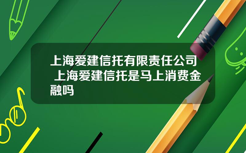 上海爱建信托有限责任公司 上海爱建信托是马上消费金融吗